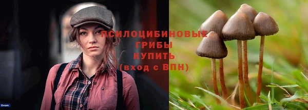 ALPHA PVP Алзамай