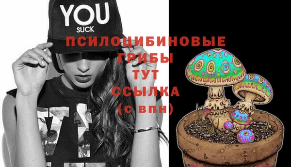 ECSTASY Алексеевка