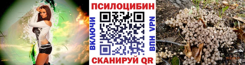 мега ссылка  Мегион  Галлюциногенные грибы MAGIC MUSHROOMS 